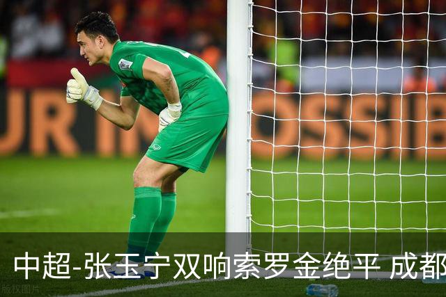 中超-张玉宁双响索罗金绝平 成都连扳两球2-2国安4连平