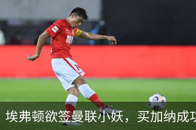 埃弗顿欲签曼联小妖，买加纳成功食髓知味！卡里克暗示三人可离队