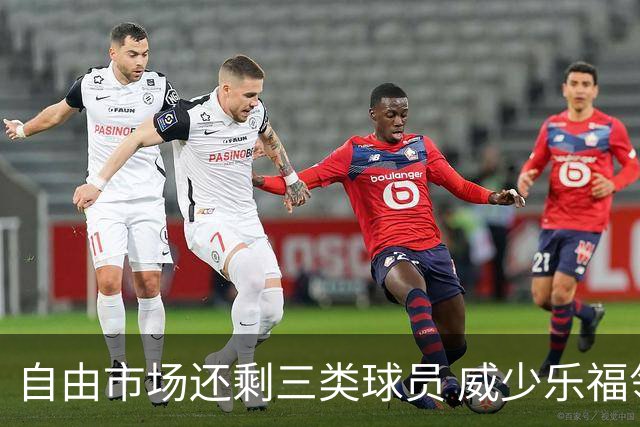 自由市场还剩三类球员 威少乐福领衔失业大军？